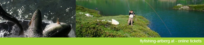 flyfishing-arlberg.at